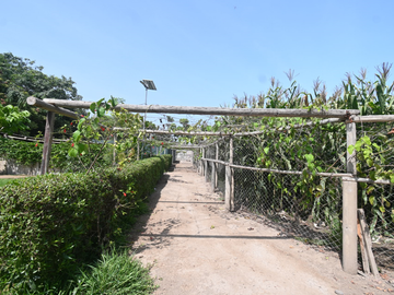 VENDO CASA DE CAMPO 10,000 M² KM 86 PAN SUR MALA
