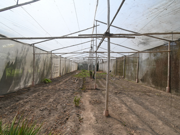 VENDO CASA DE CAMPO 10,000 M² KM 86 PAN SUR MALA