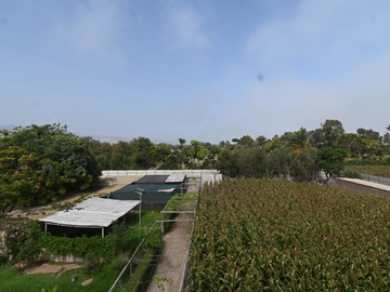 VENDO CASA DE CAMPO 10,000 M² KM 86 PAN SUR MALA