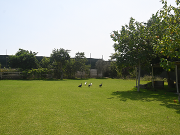 VENDO CASA DE CAMPO 10,000 M² KM 86 PAN SUR MALA
