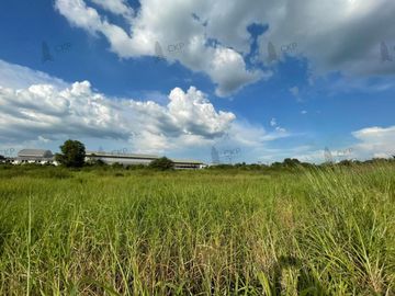 Land for sale, 300 square meters, Khlong Chet Subdistrict, Khlong Luang District, Pathum Thani, beautiful on the road.
