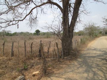 FINCA DE 15 HTS A 5 KLM DE SABANAGRANDE VIA MALAMBO.