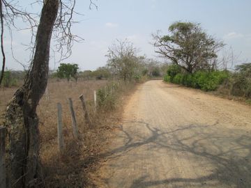 FINCA DE 15 HTS A 5 KLM DE SABANAGRANDE VIA MALAMBO.