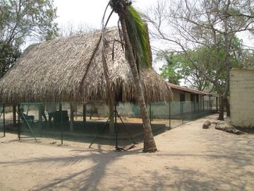 FINCA DE 15 HTS A 5 KLM DE SABANAGRANDE VIA MALAMBO.
