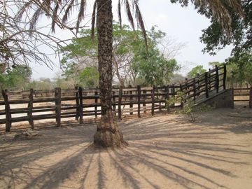 FINCA DE 15 HTS A 5 KLM DE SABANAGRANDE VIA MALAMBO.