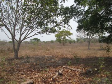 FINCA DE 15 HTS A 5 KLM DE SABANAGRANDE VIA MALAMBO.