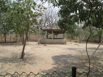 FINCA DE 15 HTS A 5 KLM DE SABANAGRANDE VIA MALAMBO.