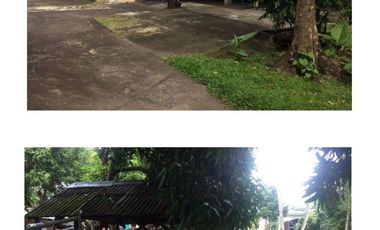 For Sale! Commercial Lots with Improvement in Legazpi, Albay