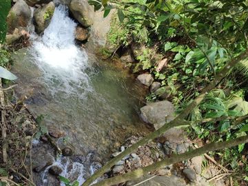 Se vende Finca ideal para descanso, turismo o agricultura