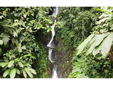 Se vende Finca ideal para descanso, turismo o agricultura