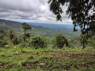 Se vende Finca ideal para descanso, turismo o agricultura