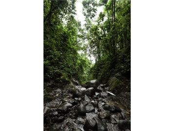Se vende Finca ideal para descanso, turismo o agricultura