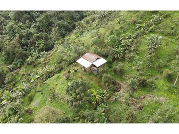 Se vende Finca ideal para descanso, turismo o agricultura
