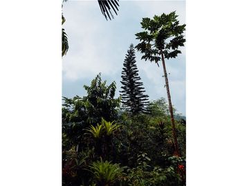Se vende Finca ideal para descanso, turismo o agricultura