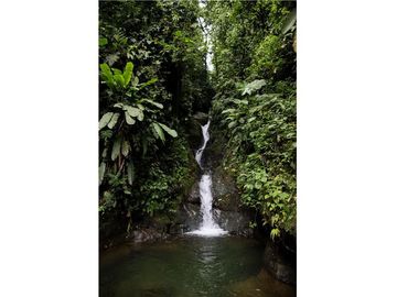 Se vende Finca ideal para descanso, turismo o agricultura