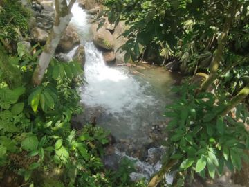 Se vende Finca ideal para descanso, turismo o agricultura