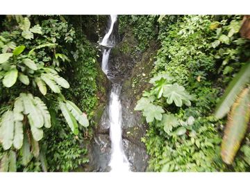 Se vende Finca ideal para descanso, turismo o agricultura