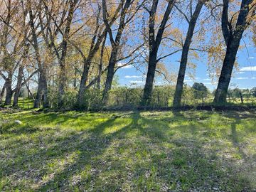 Vendo Parcela A 10 Kms De Lago Ranco Y 3,5 Kms Ignao