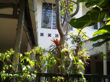 Jual Rumah Harga Lebih Murah di Mandar Bintaro 12335-BS 0811111----