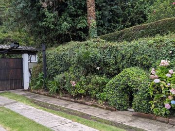 PIFO QUINTA DE VENTA