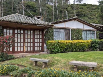 PIFO QUINTA DE VENTA