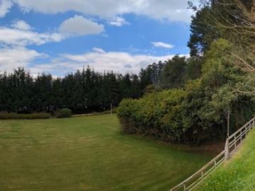 PIFO QUINTA DE VENTA