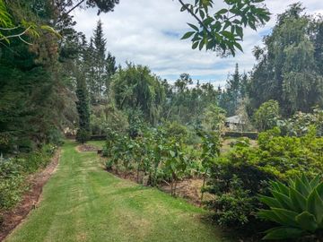 PIFO QUINTA DE VENTA