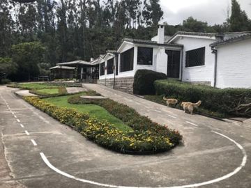 PIFO QUINTA DE VENTA