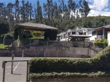 PIFO QUINTA DE VENTA