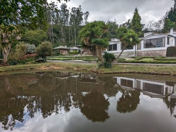PIFO QUINTA DE VENTA
