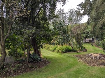 PIFO QUINTA DE VENTA