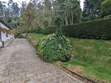 PIFO QUINTA DE VENTA