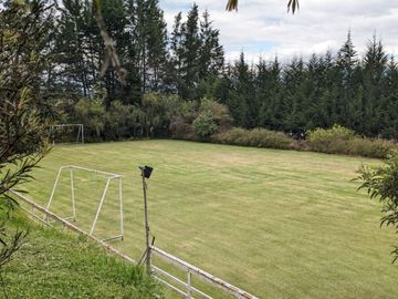 PIFO QUINTA DE VENTA