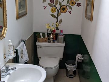 PIFO QUINTA DE VENTA