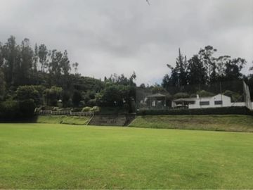 PIFO QUINTA DE VENTA