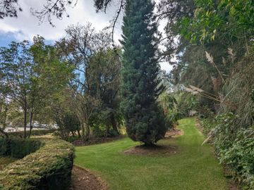 PIFO QUINTA DE VENTA
