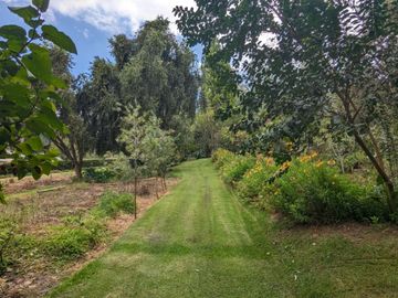 PIFO QUINTA DE VENTA
