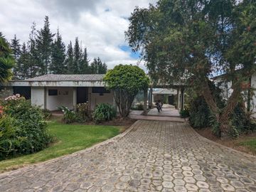 PIFO QUINTA DE VENTA