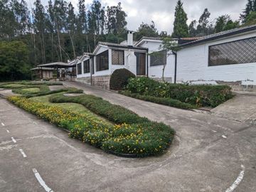 PIFO QUINTA DE VENTA