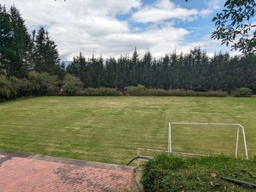 PIFO QUINTA DE VENTA