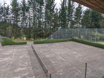 PIFO QUINTA DE VENTA