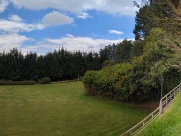PIFO QUINTA DE VENTA