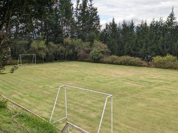 PIFO QUINTA DE VENTA