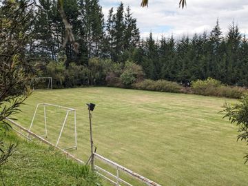 PIFO QUINTA DE VENTA