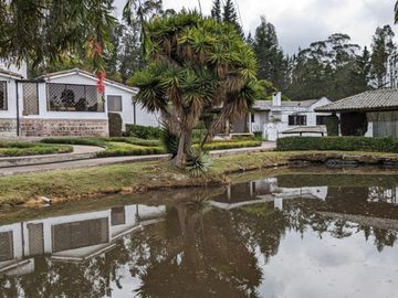 PIFO QUINTA DE VENTA