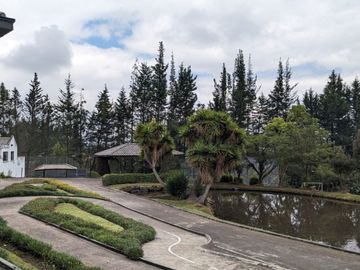 PIFO QUINTA DE VENTA