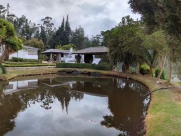 PIFO QUINTA DE VENTA