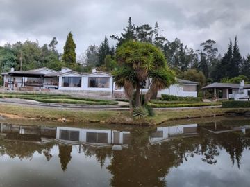 PIFO QUINTA DE VENTA