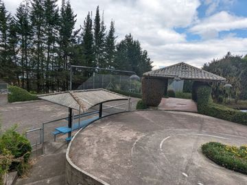 PIFO QUINTA DE VENTA