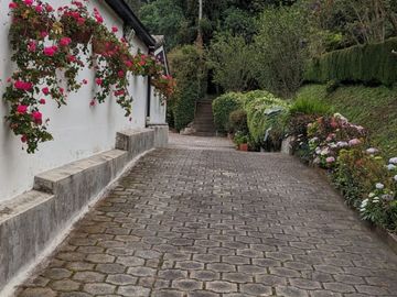 PIFO QUINTA DE VENTA